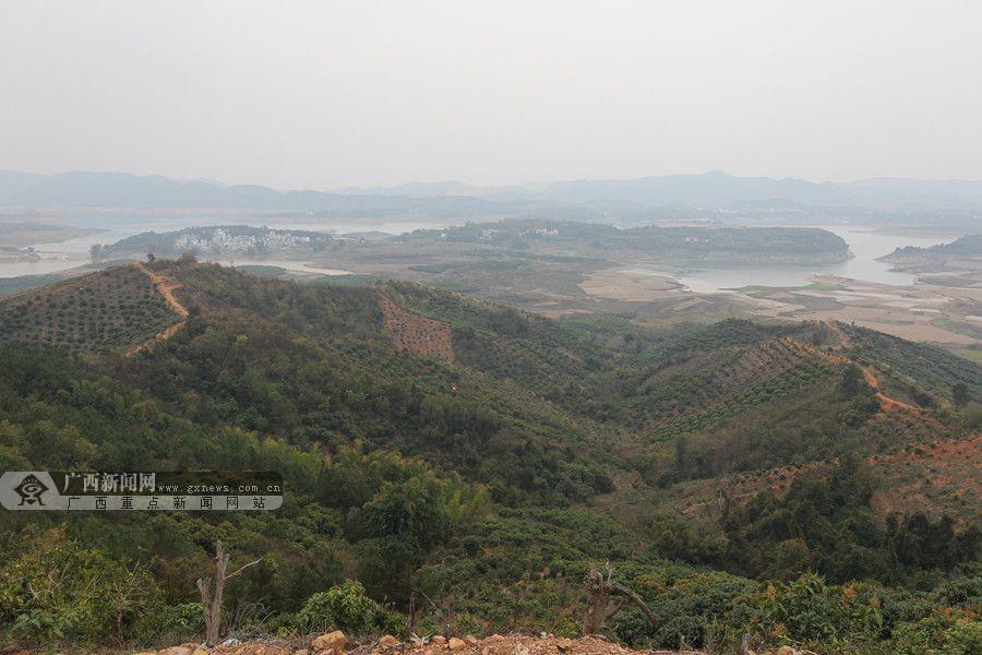 远处的澄碧湖,周围的荒山正慢慢变成一片片果园.