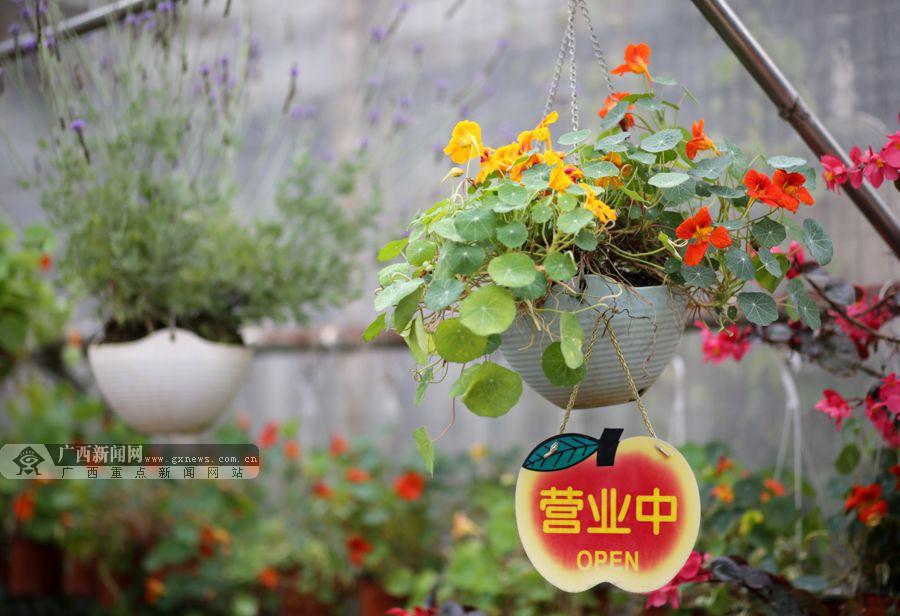 这家名为"香草园"的花店,店里一直悬挂着"营业中"的牌子,却很少见到