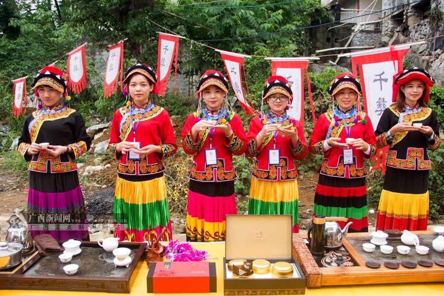 百色隆林:彝族举行千年古树茶祭茶盛典 游客狂欢