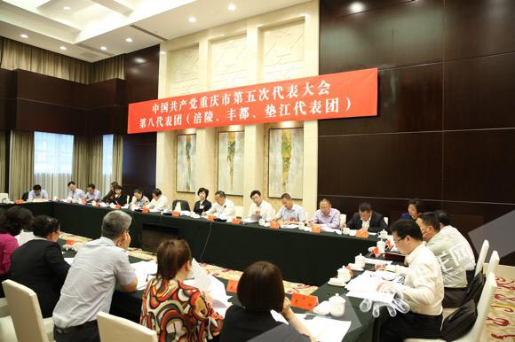 重庆市第五次党代会第八代表团(涪陵,丰都,垫江代表团)审议讨论现场.