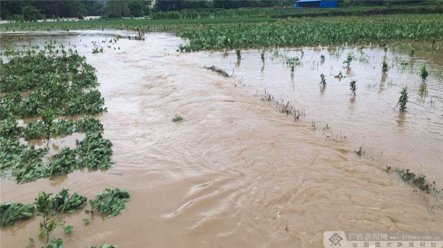 强降雨袭击灌阳引发洪涝灾害_媒体推荐