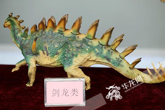 剑龙类恐龙模型.记者 李裕锟 摄