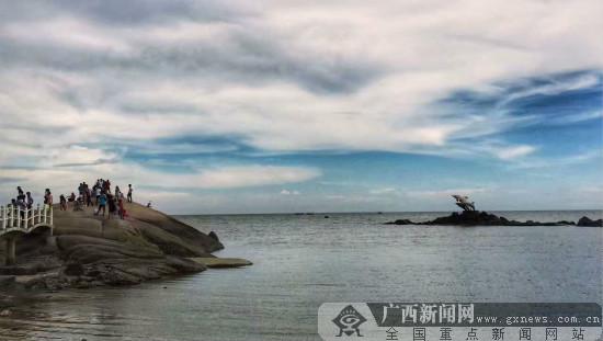 [滨海明珠]探寻钦州三娘湾里的 海上大熊猫 (图