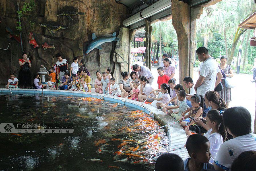 高清:暑期来临 萌娃“乐享”多彩暑假_媒体推荐_新闻_齐鲁网