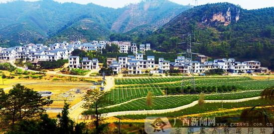 田阳县现代特色农业(果蔬)核心示范区. 百色市委宣传部供图