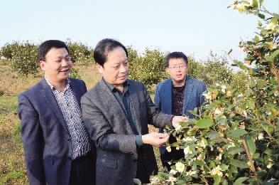 奋进这5年 精彩看湖南|中国硒乡 硒旺桃源_媒体