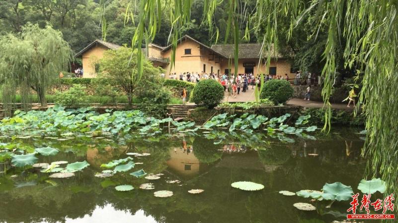 韶山旅游中国国际旅游交易会上绽异彩