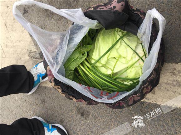 邹老伯袋子里面的蔬菜.沙坪坝警方供图 华龙网发