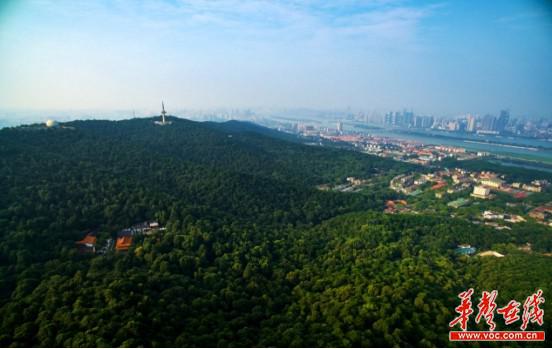 媒体推荐 还有天心阁,烈士公园,大围山…还等什么,振动你的想象