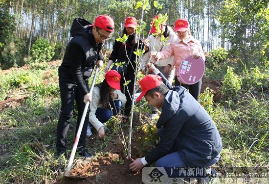 宁明县青年志愿者参加义务植树活动 种300株树