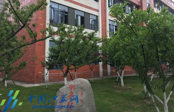 【奋进 巨变 展望】灿烂笑容绽放援建校园 亲历