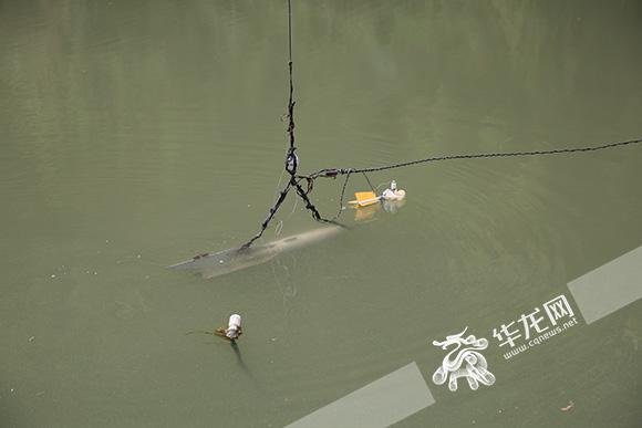 铅鱼沉入到水中,用来测量所在流域实时的水量、流量、水环境等情况。 记者 刘嵩 摄 三次涨水要数最后一次持续时间最长,水位也最高,这时的数据测验也尤为关键。偏偏这时站上停电,加上河面上漂浮物越来越多,谭波想到用水面浮标法施测流量。 父亲在一头投下浮标,谭波则负责画辐射线,母亲在另一头传送浮标到达信号并记录浮标流经历时。在这几次洪水中,协助市水文局水情科成功发布了水情预报,由于对洪水的预判和通知及时,人员撤离迅速,确保了沿岸流域人民生命财产安全。 水渐渐退去,听到电视里新闻联播说綦江在这次涨水中损失较小,一