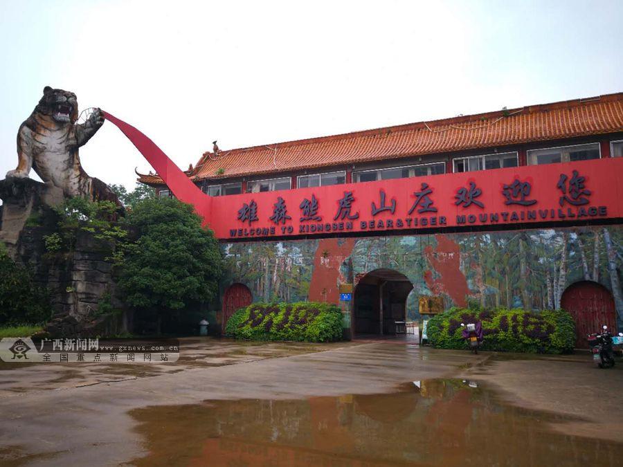 桂林一山庄发生老虎伤人事件续:山庄已有计划