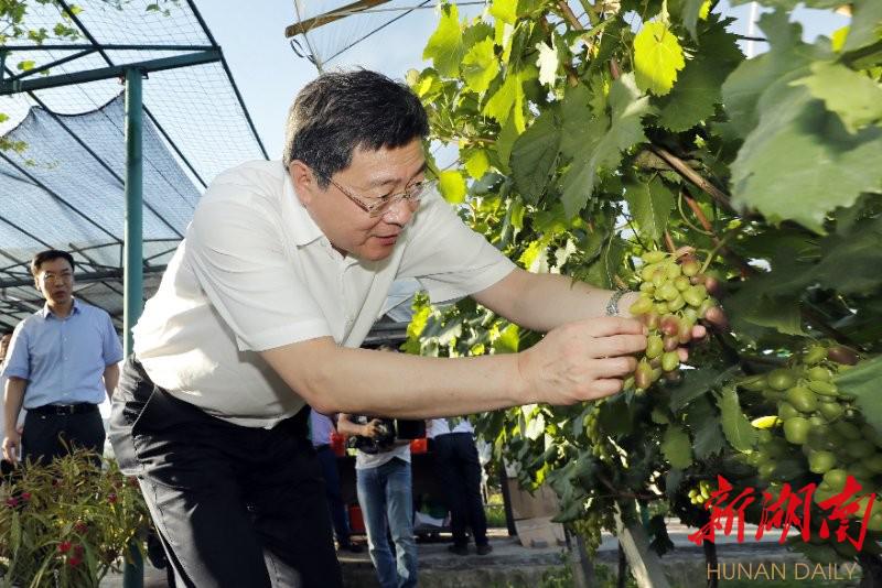 杜家毫赴永州调研:坚决打赢三大攻坚战 努力实现高质量发展_媒体推荐_新闻_齐鲁网