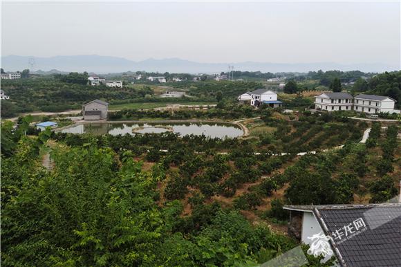 重庆上半年蔬菜监测合格率97.45% 未来将深化