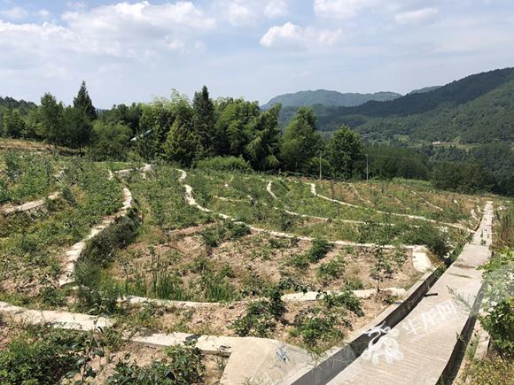 周口市高质量完成“十四五”规划系列主题新闻发布会之三