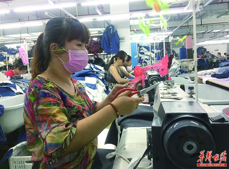 【镇起风云·湖南特色产业小镇巡礼】株洲市白