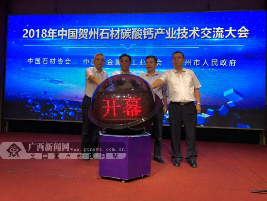 2018中国贺州石材碳酸钙产业技术交流大会开幕