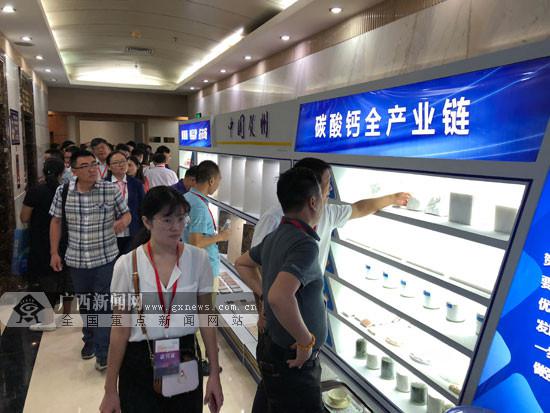 2018中国贺州石材碳酸钙产业技术交流大会开幕