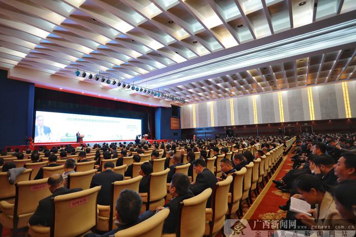 2019广西经济会议_我院召开 广西经济社会发展报告 2019 新闻发布会(2)