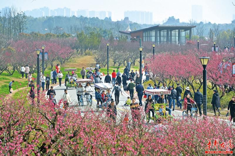 待到天气晴好,跟着地图来"探花"吧