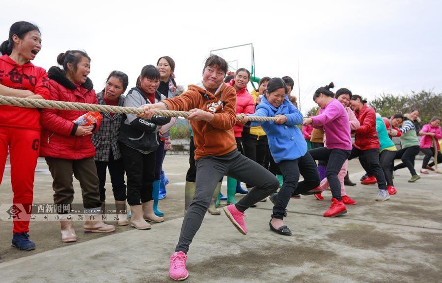 妇女们在参与拔河比赛.广西新闻网通讯员 邓克轶 摄