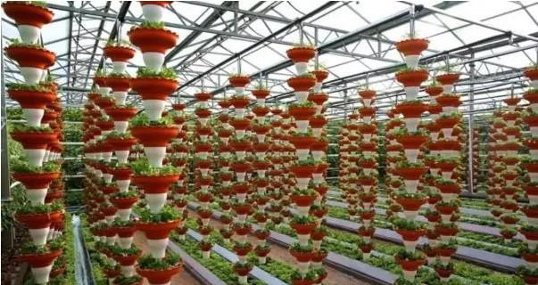 疾船队签下宿将布鲁克·洛佩兹，加强内线能力