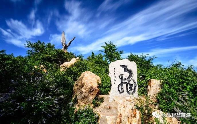 长岛旅游景区 | 烟台市民旅游年票网上发售啦!