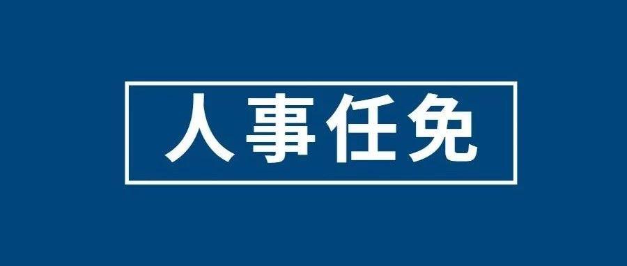 最新菏泽市政府发布人事任免通知