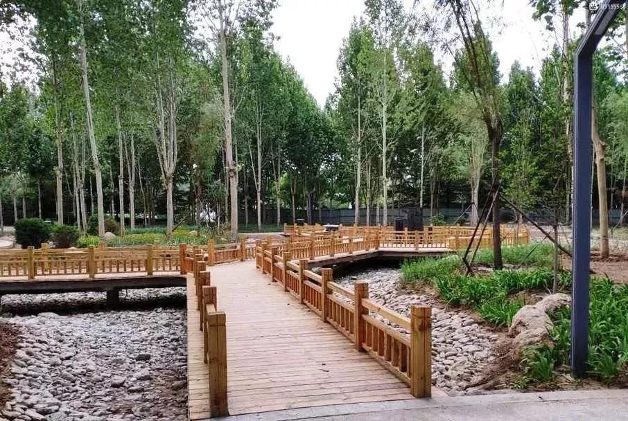 预计7月1日将面向社会开放  该公园位于广饶县乐安大街与正安路交叉