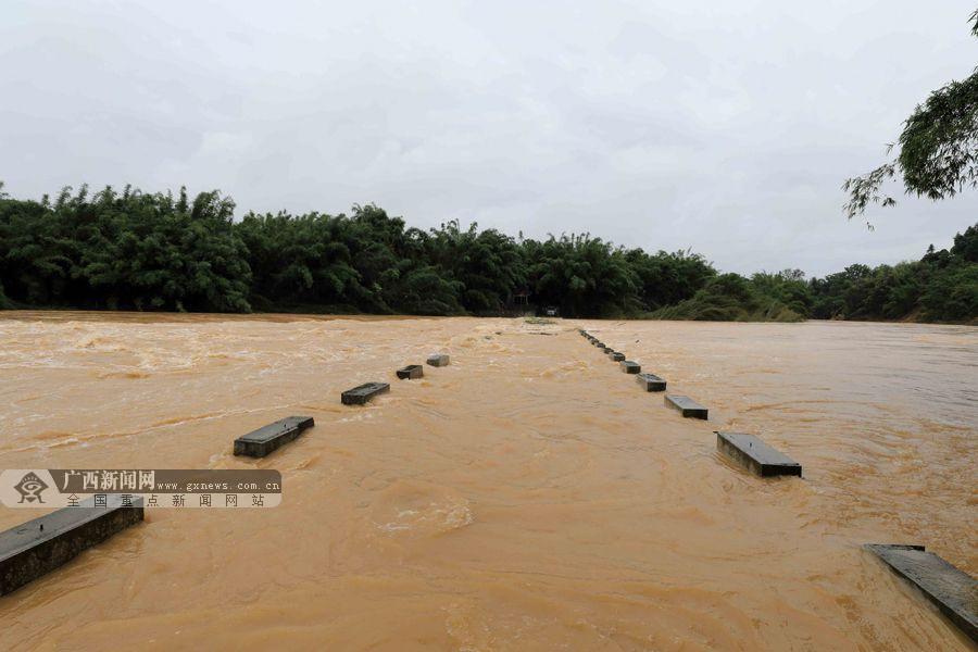 高清广西融安受到暴雨袭击有大桥被洪水淹没