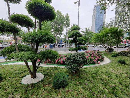 城市颜值再提升 奎文区打造胜利街“多彩画廊”