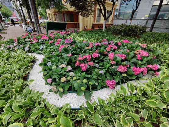 城市颜值再提升 奎文区打造胜利街“多彩画廊”