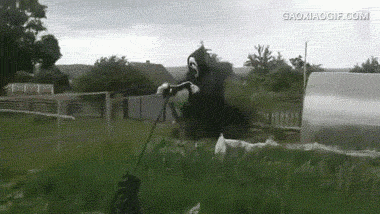 这个稻草人我是服气的,半夜能给人吓死!