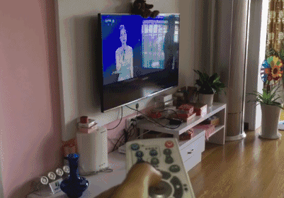 401_279gif 动态图 动图