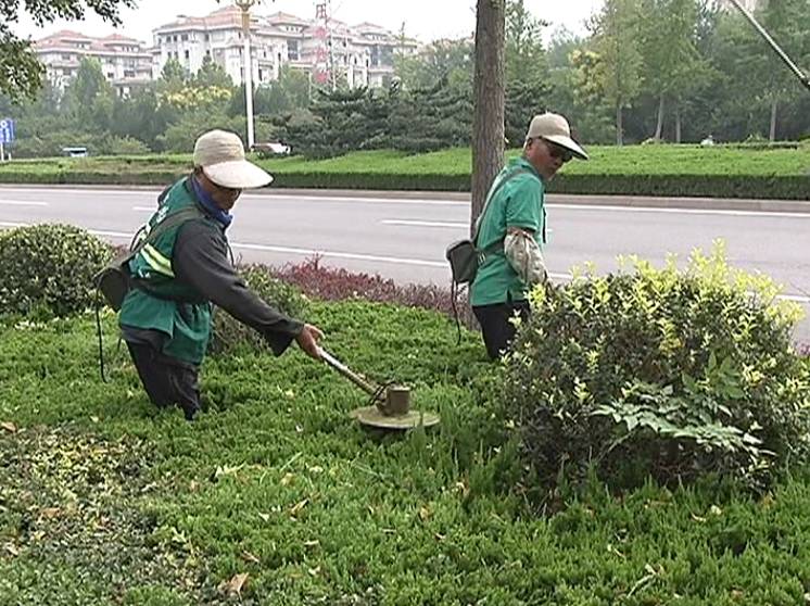 城市的绿化还有一项很重要的工作就是防治病虫害,尤其在夏天,更是园林