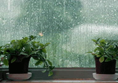 昨天的秋雨里,文登的这张照片温暖了无数人!