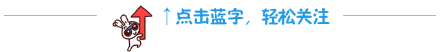 兔子红箭头引导关注