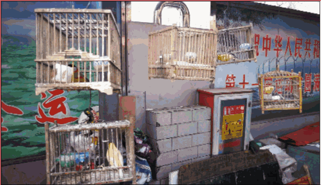 济南竟然有这种地方?它默默珍藏着我们童年的回忆!