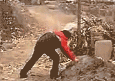 230_163gif 动态图 动图