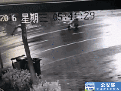 不禁想到底是什么 给了他们勇气, 竟如此无视交通规则, 