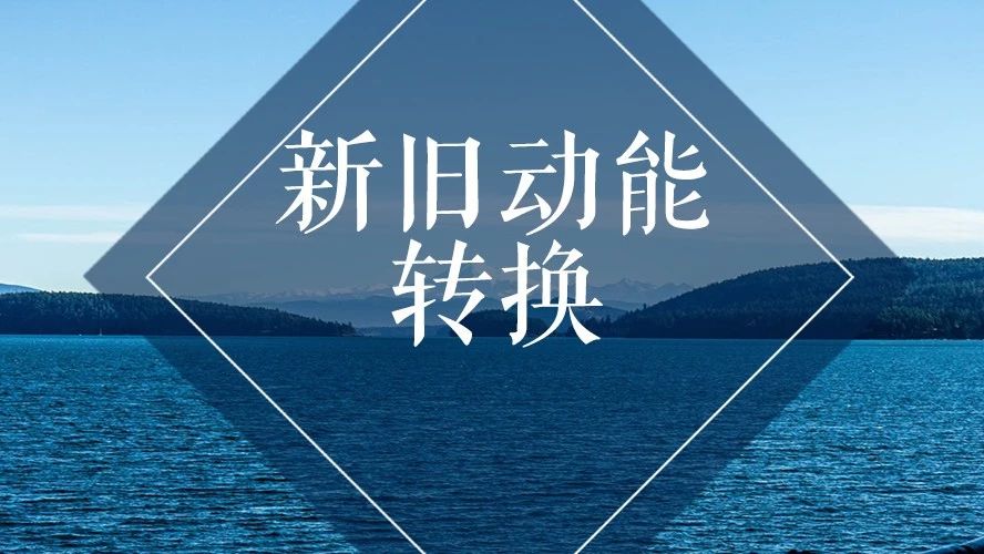 北京世园会丨聚焦高质量发展山东花卉产业助推新旧动能转换