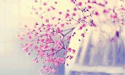 在这个世界读书日来临之际