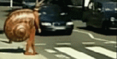 一定也拥有过这样的体验或许开车经过此路口的朋友相信以上几个路口