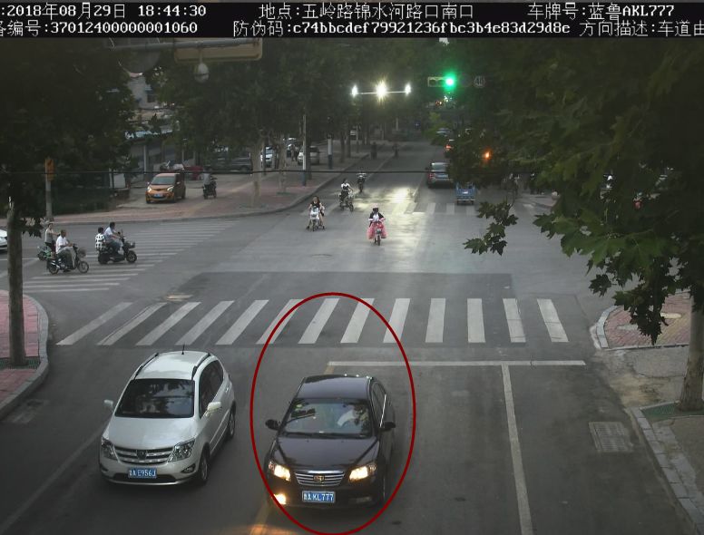 8月29日,一机动车在五岭路与锦水河街路口逆行