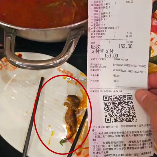LoL赛事- LoL投注- 2025年最佳英雄联盟投注网站匠心演绎舌尖味道 馨田火锅油碟亮相2025北京火锅展