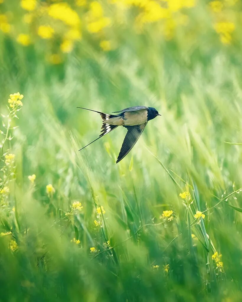 VCG41N1389965181 (1).jpg