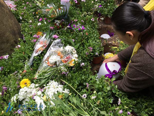 南京雨花功德園舉行生態葬集體安放活動(圖)