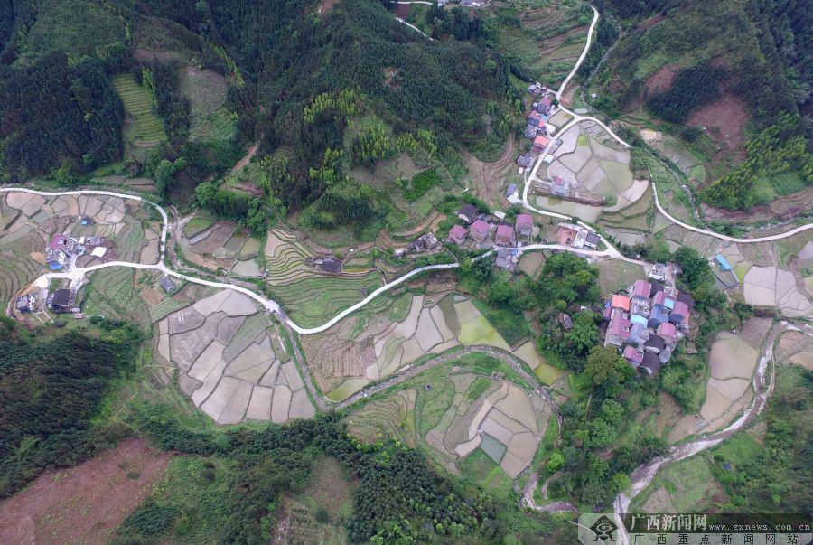 图为5月4日航拍罗城仫佬族自治县纳翁乡民族村大寨梯田美景.