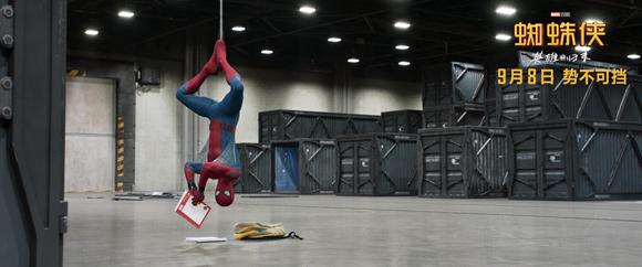 小蜘蛛倒吊悬挂.片方供图